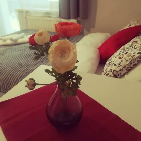 Milka Проживание в семье *